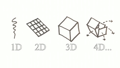 Photo of Как организовать работу с 4D
